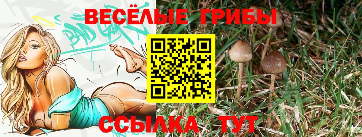 Шатура  Псилоцибиновые грибы ЛСД  где купить наркоту  Вход с VPN 