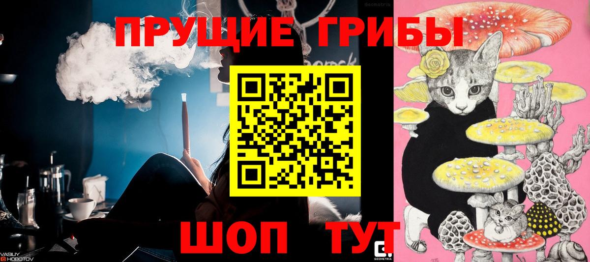 Галлюциногенные грибы GOLDEN TEACHER Шатура